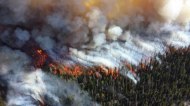 105 сел, поселков и деревень Новосибирской области могут пострадать от пожаров 