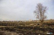 In Novosibirsk, a series of fires from-for dry herb