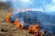 В Новосибирской области начался пожароопасный сезон 